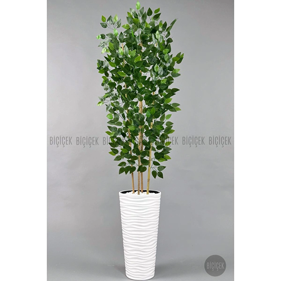 Biçiçek Yapay Benjamin Ağacı 180cm Yoğun Yapraklı Bambu Gövdeli Beyaz Renk Kumsal Saksıda