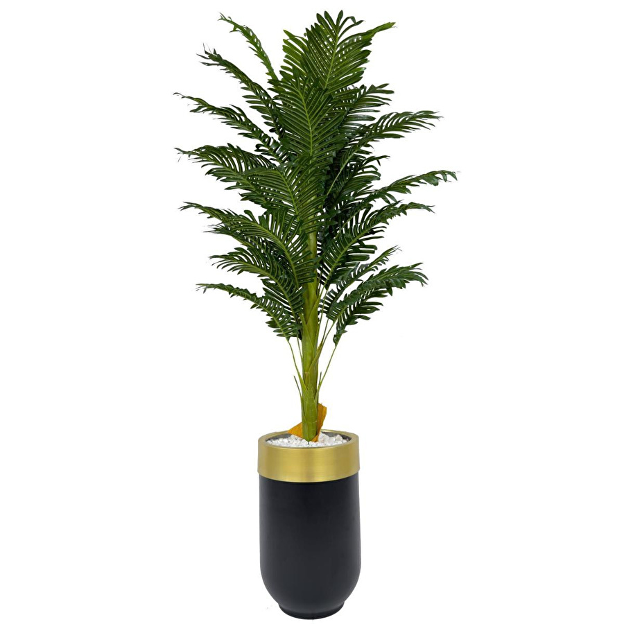 Biçiçek Areka Palmiyesi 170cm Metal Siyah Gold Darbuka Saksıda