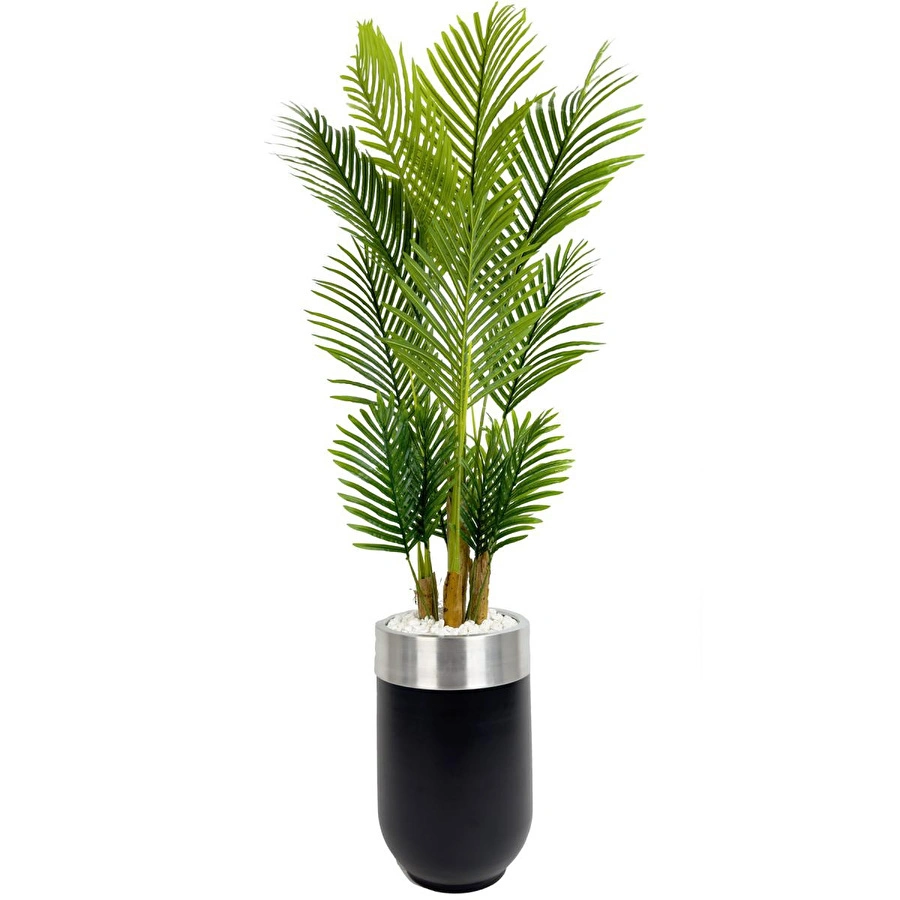 Biçiçek Areka Palmiyesi 160cm Siyah Gümüş Metal Darbuka Saksıda