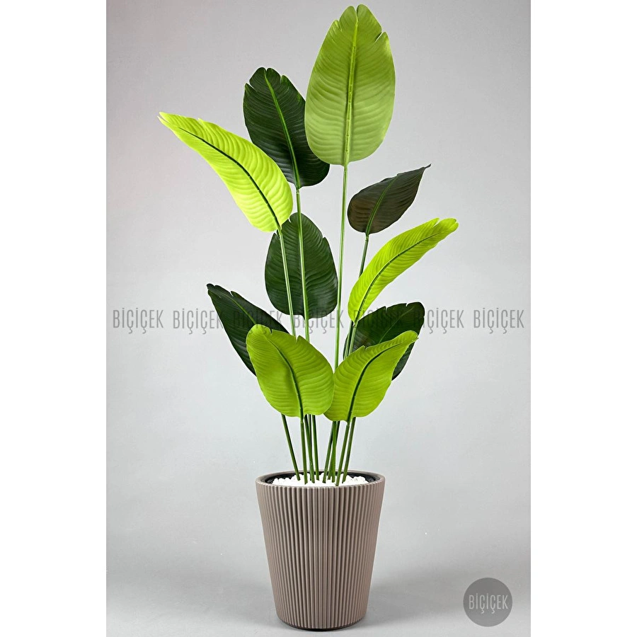 Biçiçek Yapay Muz Ağacı 145-185 Cm Kahverengi2