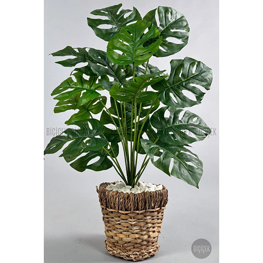 Biçiçek Yapay Monstera Deve Tabanı 65-70 Cm Hasir1