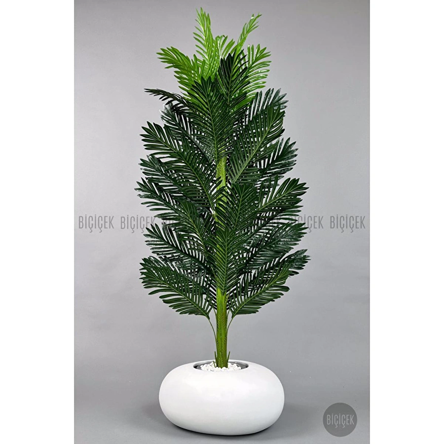 Biçiçek Yapay Areka Ağacı 160-180 Cm Beyazfi̇ber170cm