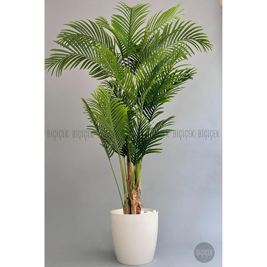 Biçiçek Yapay Areka Palmiyesi 200 Cm Kırıkbeyaz Yakut Saksıda