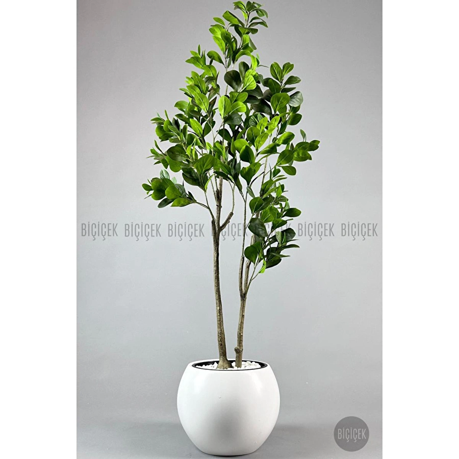Biçiçek Yapay Manolya Ağacı 150-180cm Beyaz