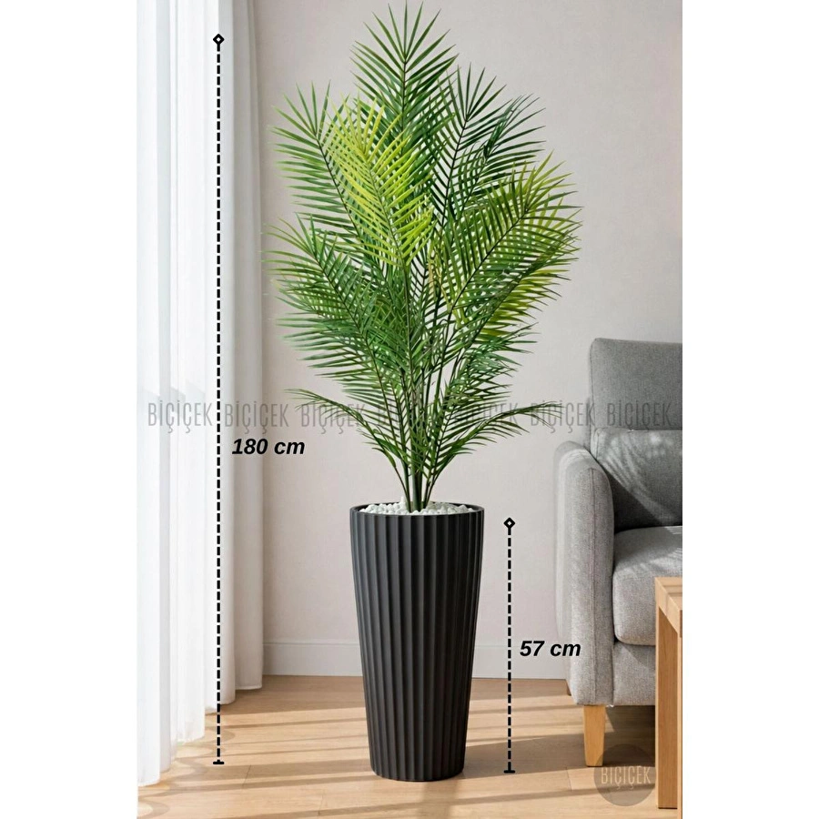 Biçiçek 180 Cm Areka Ağaci 24 Yaprakli Li̇lyum Saksida Siyahlilyum