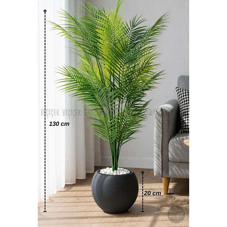Biçiçek Areka Ağaci 24 Yaprakli 130 Cm Küre Saksida Antrasi̇t