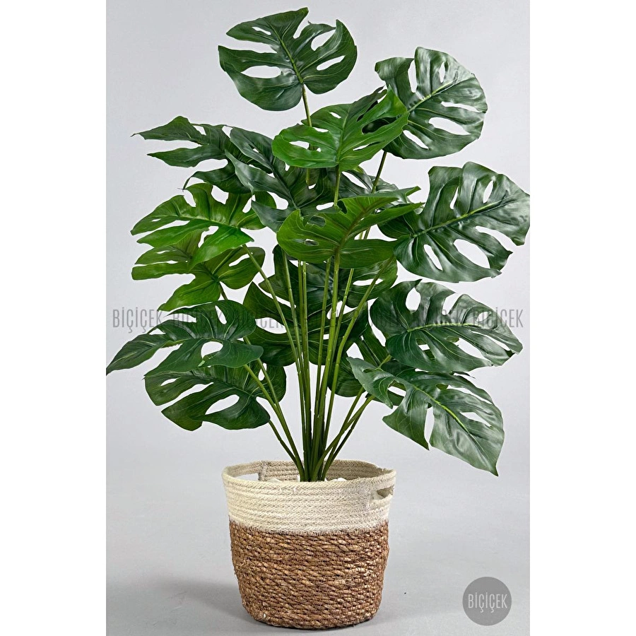 Biçiçek Yapay Monstera Deve Tabanı 65-70 Cm Hasir3