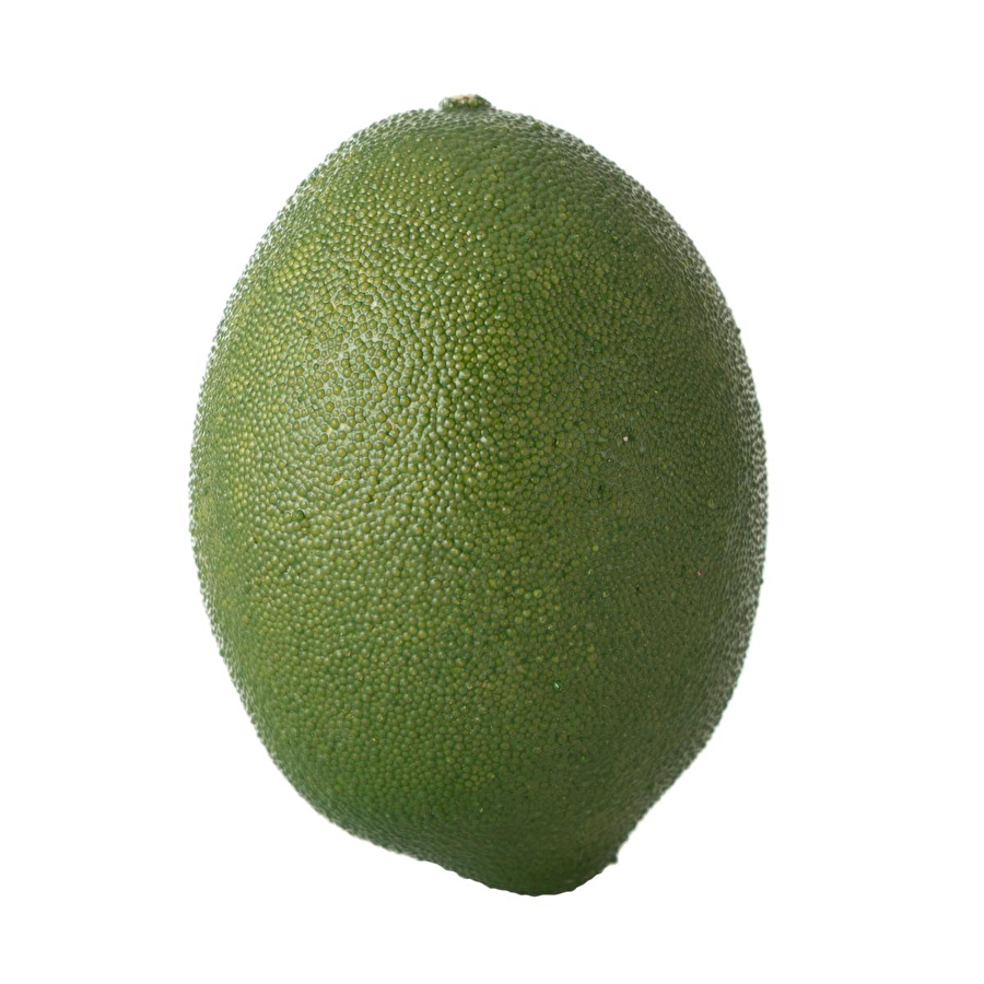 Mudo Home Yapay Yeşi̇l Li̇mon