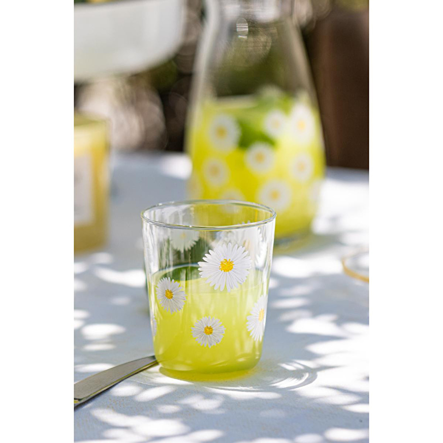 Rakle Fiona 4'lü Su Bardağı Seti 315 Cc