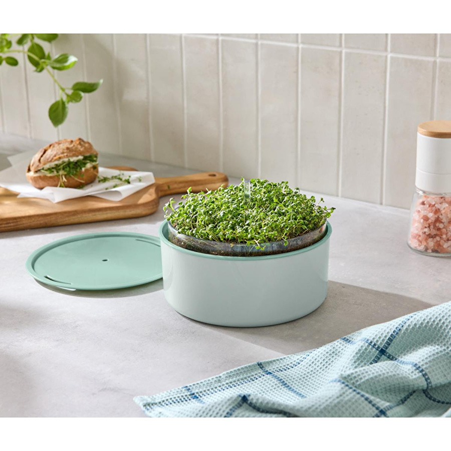 Tchibo Bitki Yetiştirme Seti, “microgreens”
