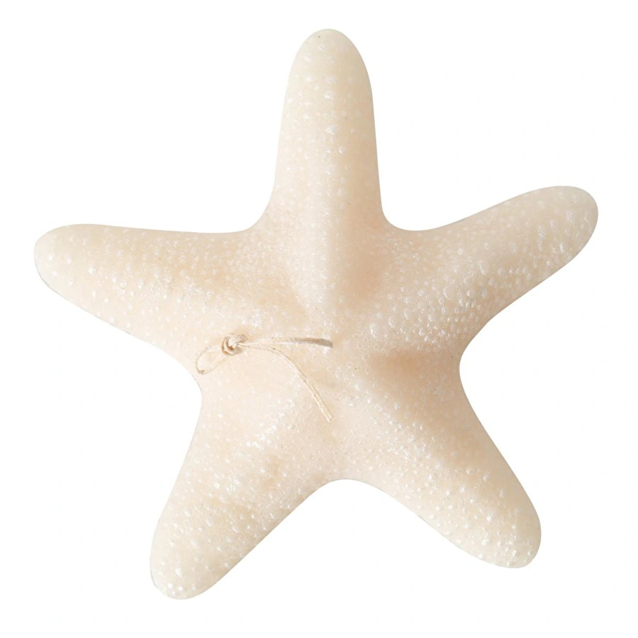 Mudo Home Deni̇z Yildizi Mum 21x5cm