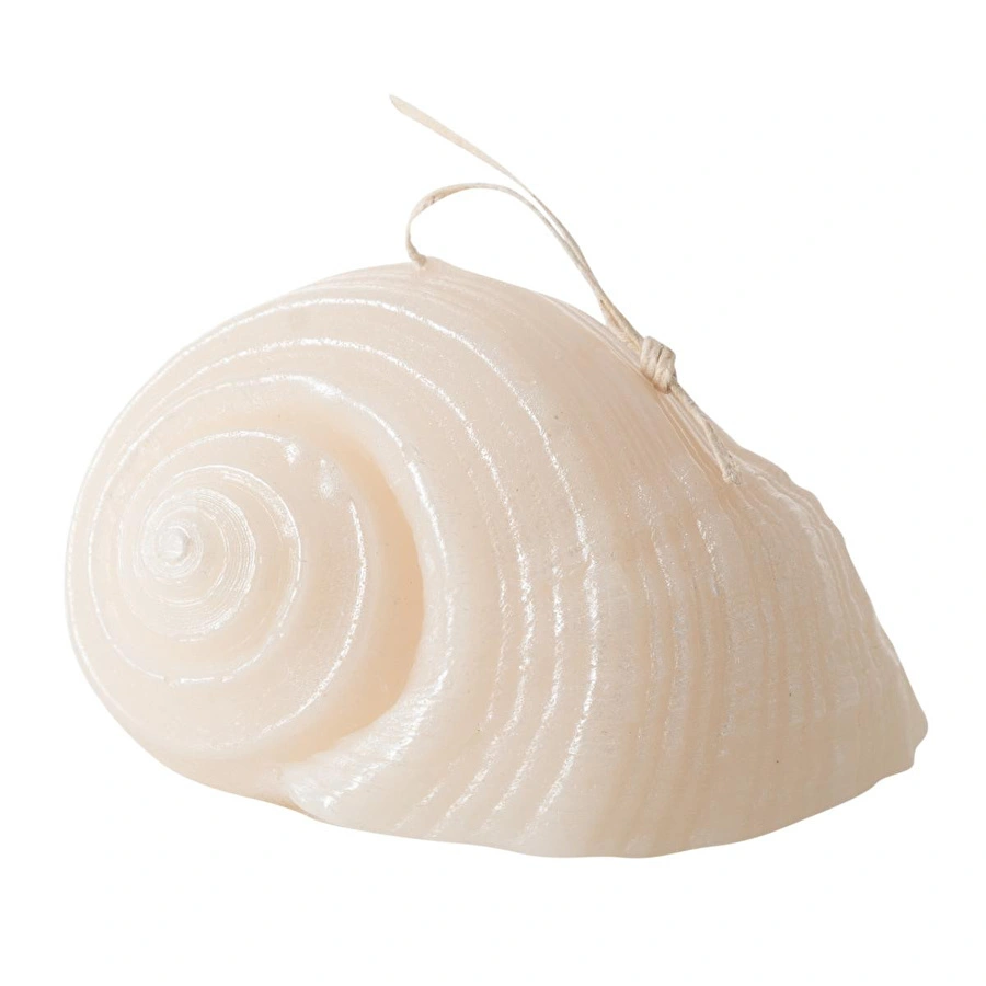 Mudo Home Deni̇z Kabuğu Mum 11x9cm