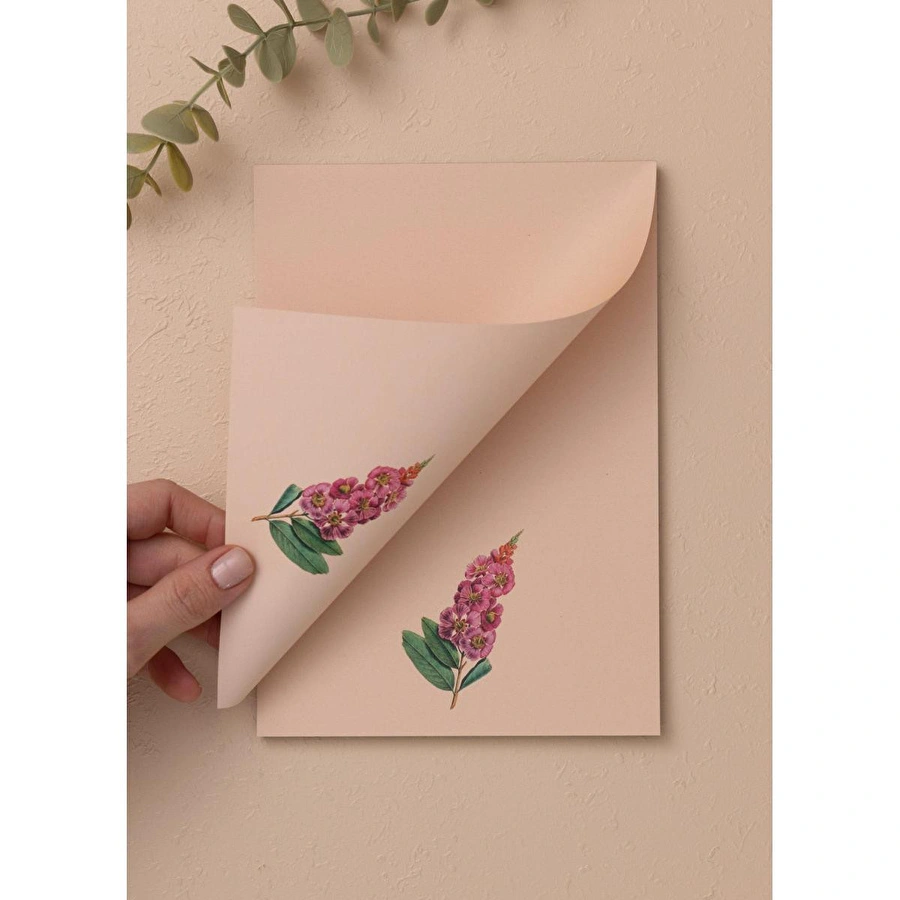 The Mia Art Line Mini Notluk Prelude 15 X 21 Cm 40 Yaprak