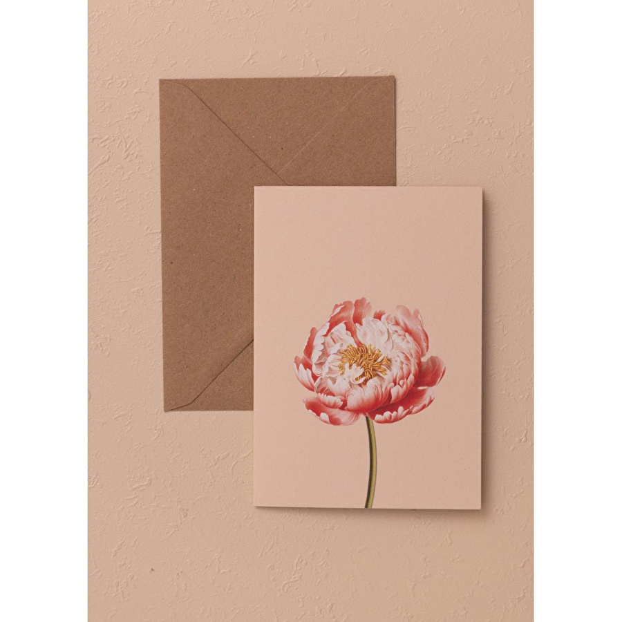 The Mia Art Line Mini Tebrik Kart Seti Peonie 10 X 14 Cm