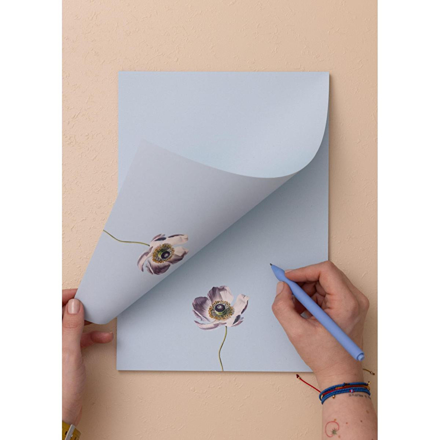 The Mia Art Line Mini Notluk Anemone 21x30 Cm 40 Yaprak