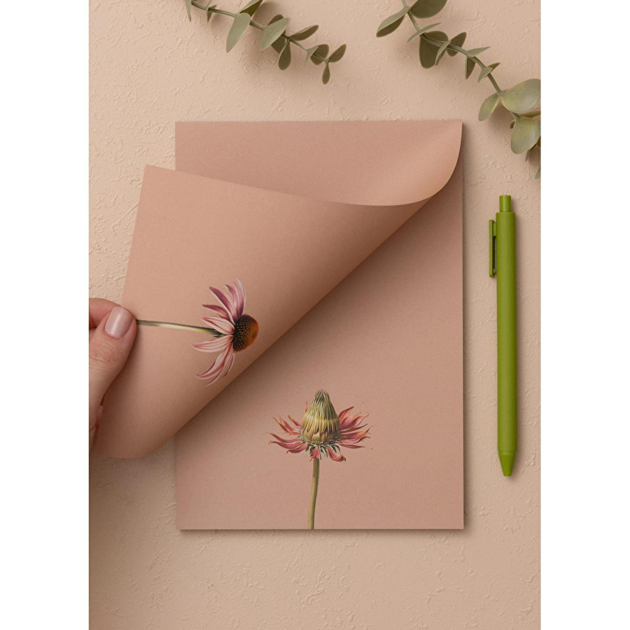 The Mia Art Line Mini Notluk Coneflower 15x21 Cm 40 Yaprak