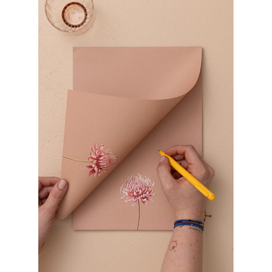 The Mia Art Line Mini Notluk Chrysanthemum 21x30cm 40 Yapr