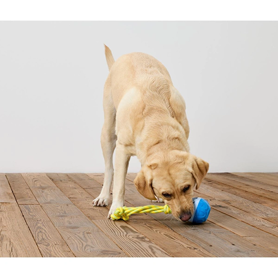 Tchibo Köpek Fırlatma Ve Su Oyuncağı