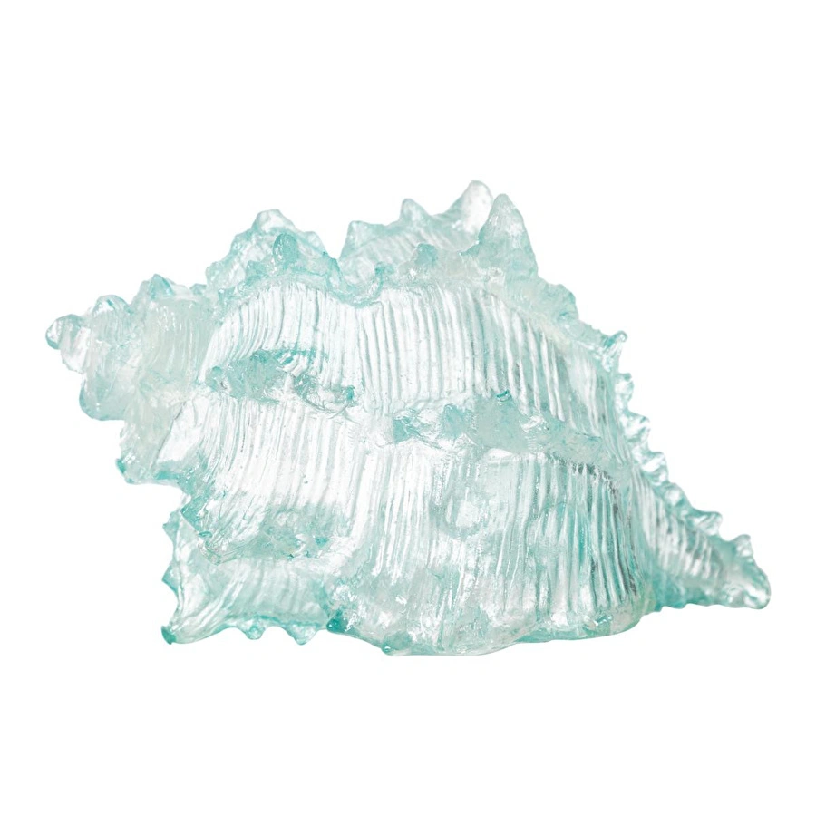 Mudo Home Ocean Shell Bi̇blo 20x16x12 Cm