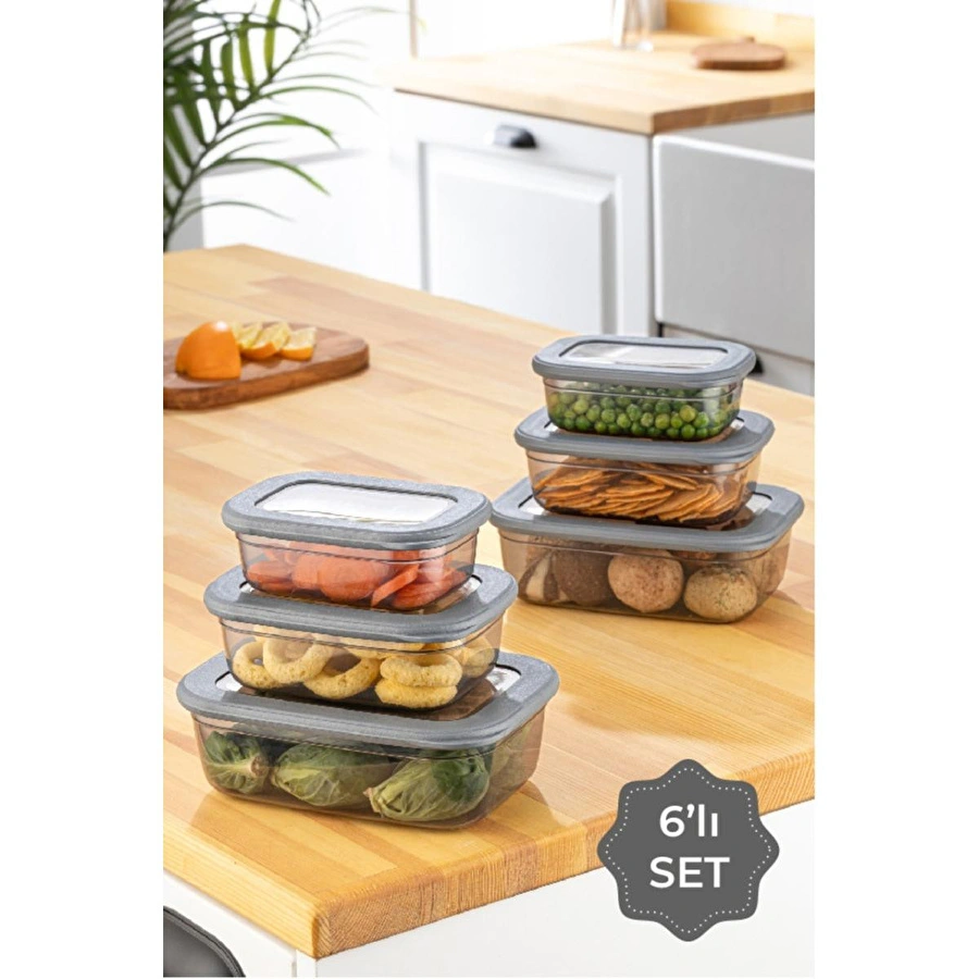 Vienev 6'lı Poly Kapak Dikdörtgen Sığ Saklama Kabı Seti Antrasit 2x(400, 670, 1200 Ml)