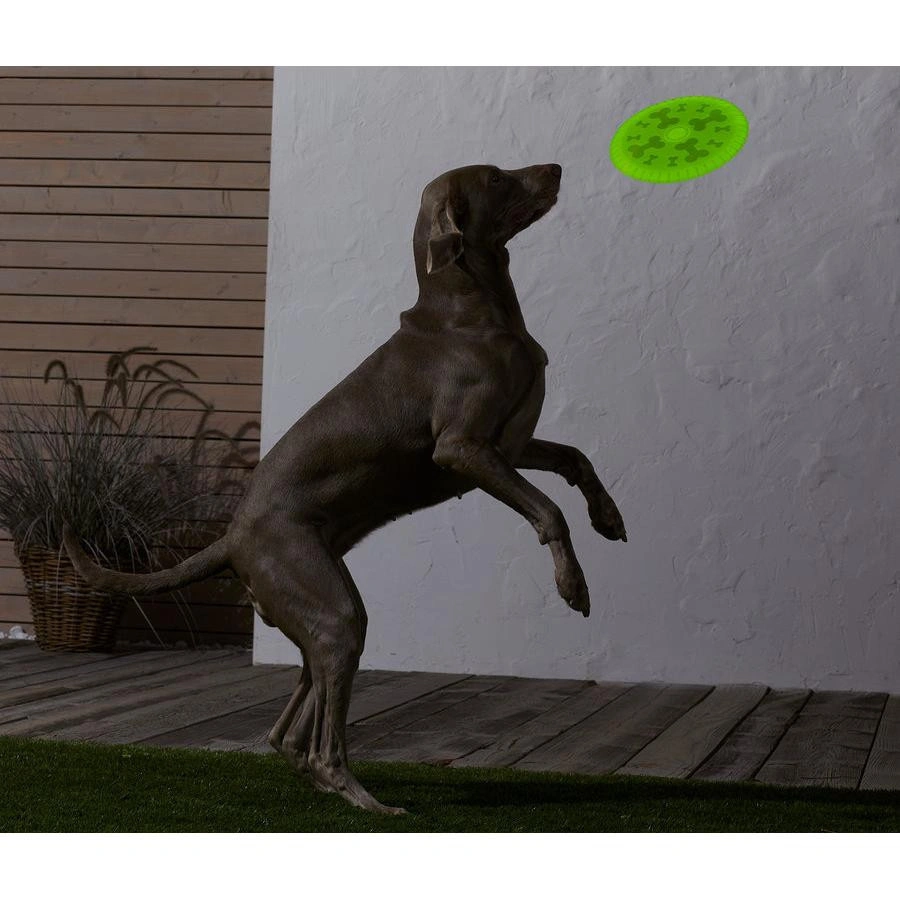 Tchibo Köpekler İçin Frizbi