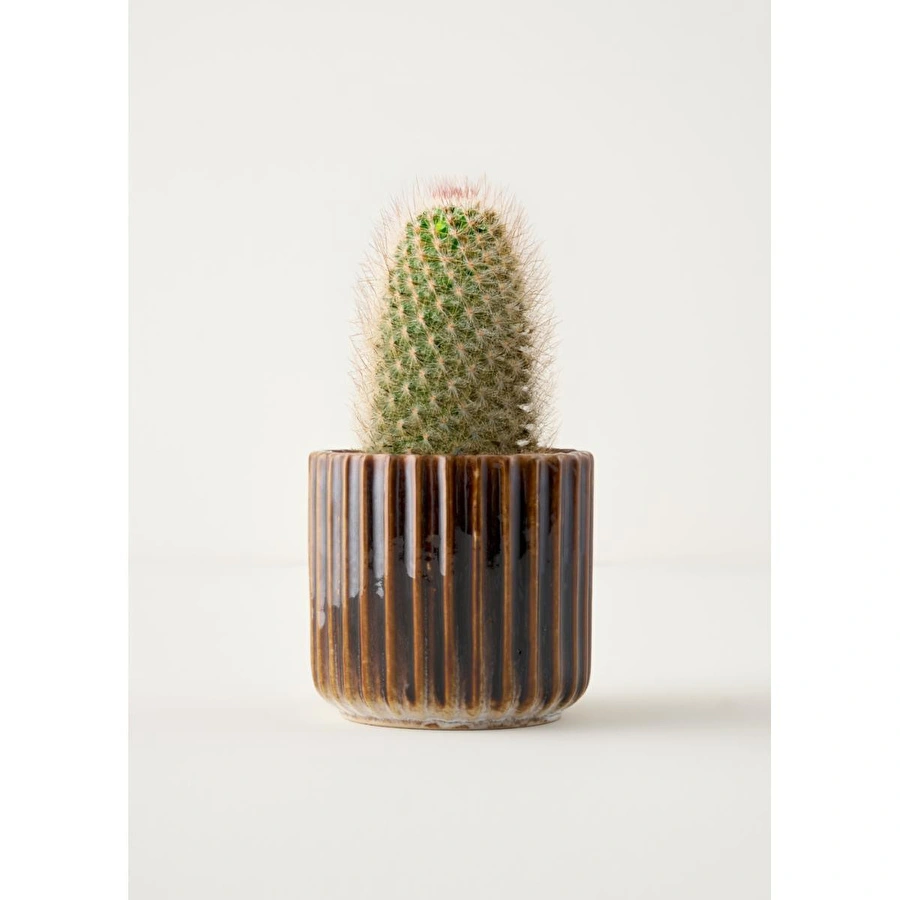 Bella Maison Lavea Seramik Saksı Gri (13x13x12 Cm) Gri