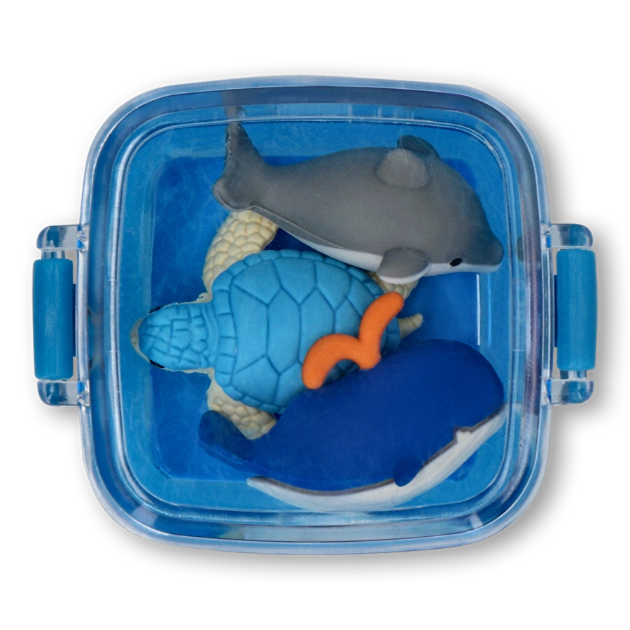 Flying Tiger Copenhagen Mavi Kutulu Silgi Seti