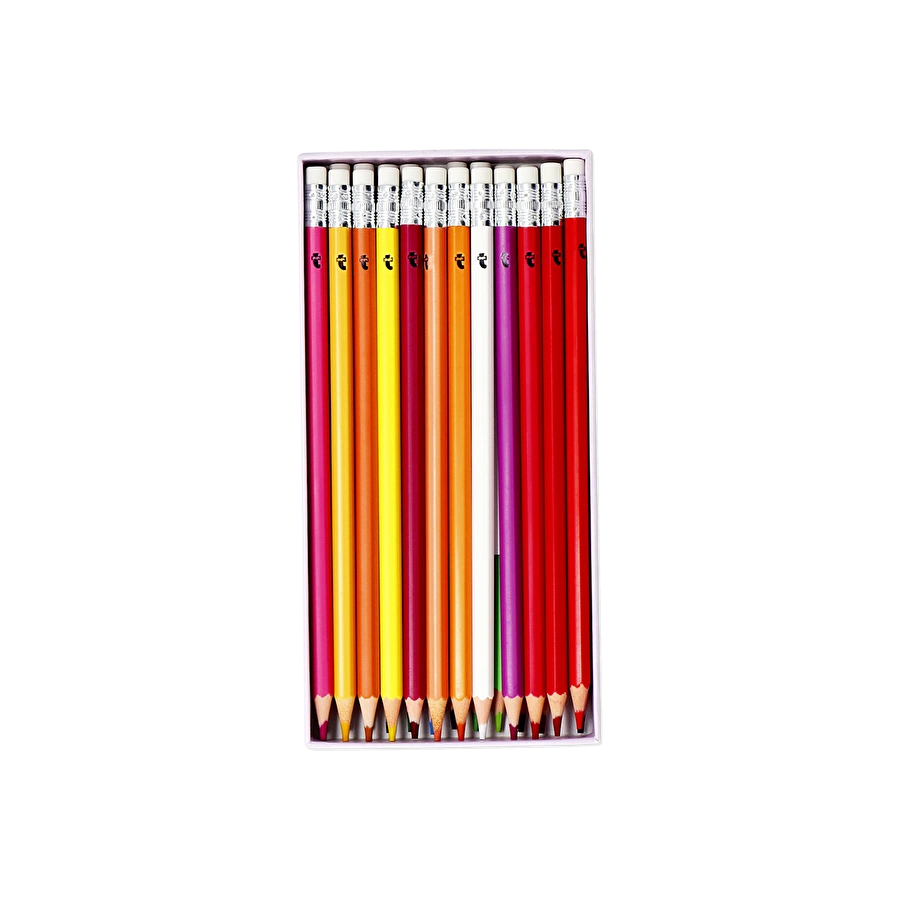 Flying Tiger Copenhagen 24'lü Silinebilir Boya Kalemi