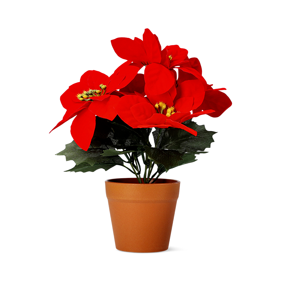 Flying Tiger Copenhagen Saksıda Yapay Yılbaşı Çiçeği