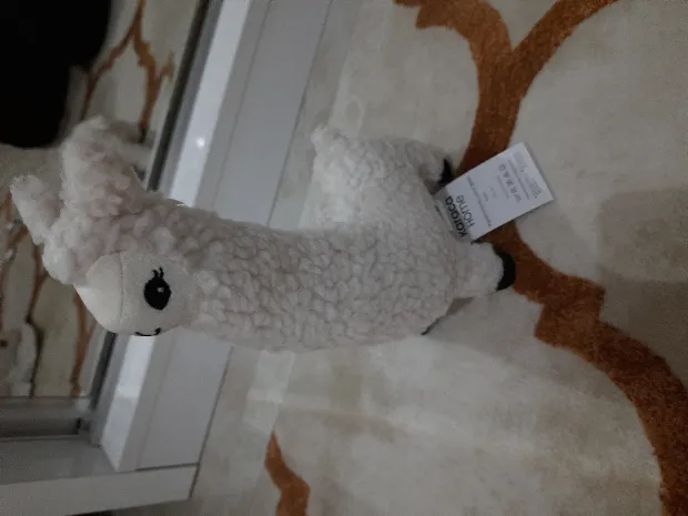 Kullanıcı yorumu img