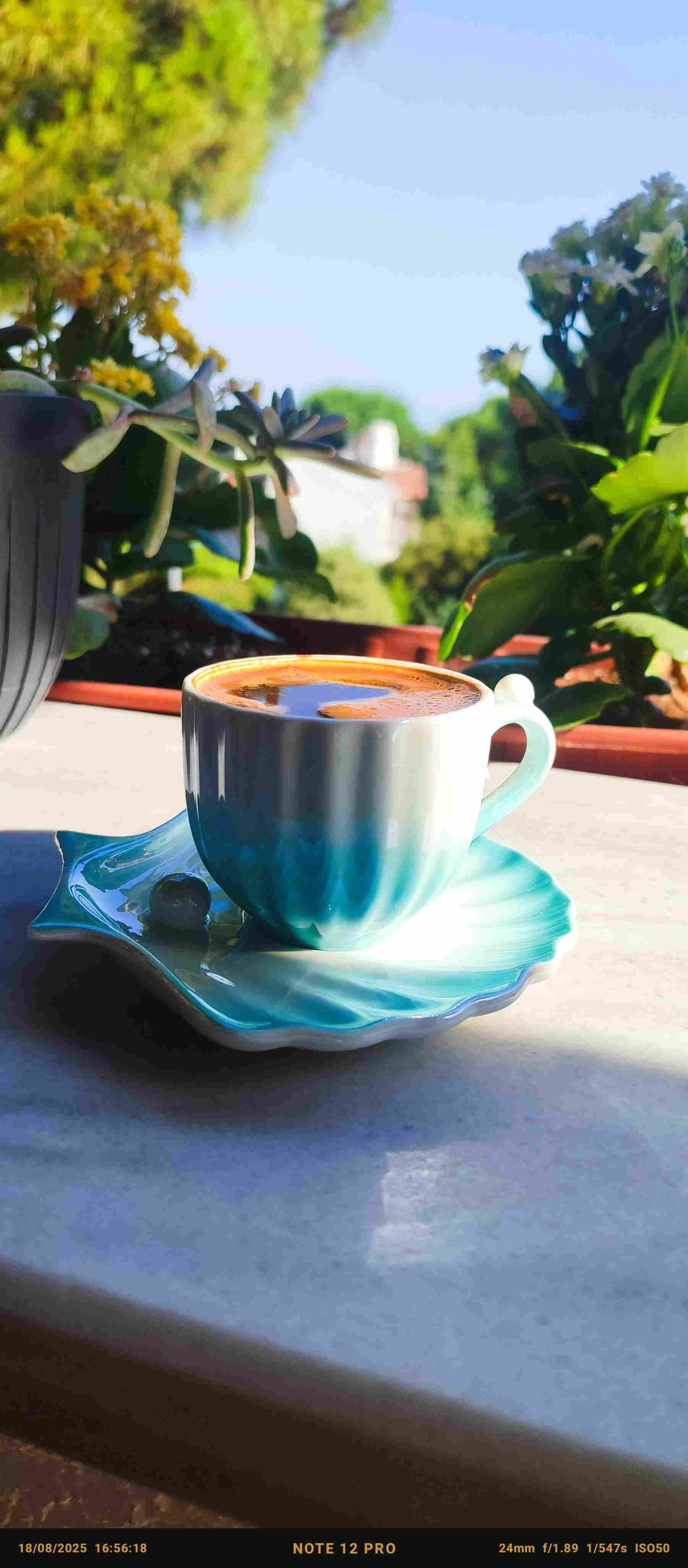 İNAN DENİZ  DİNÇ değerlendirme görseli 1