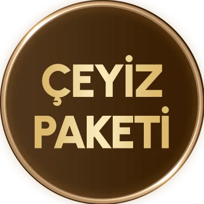 Karaca Çaysever Robotea Pro Connect 4 in 1 Konuşan Cam Çay Makinesi Silver