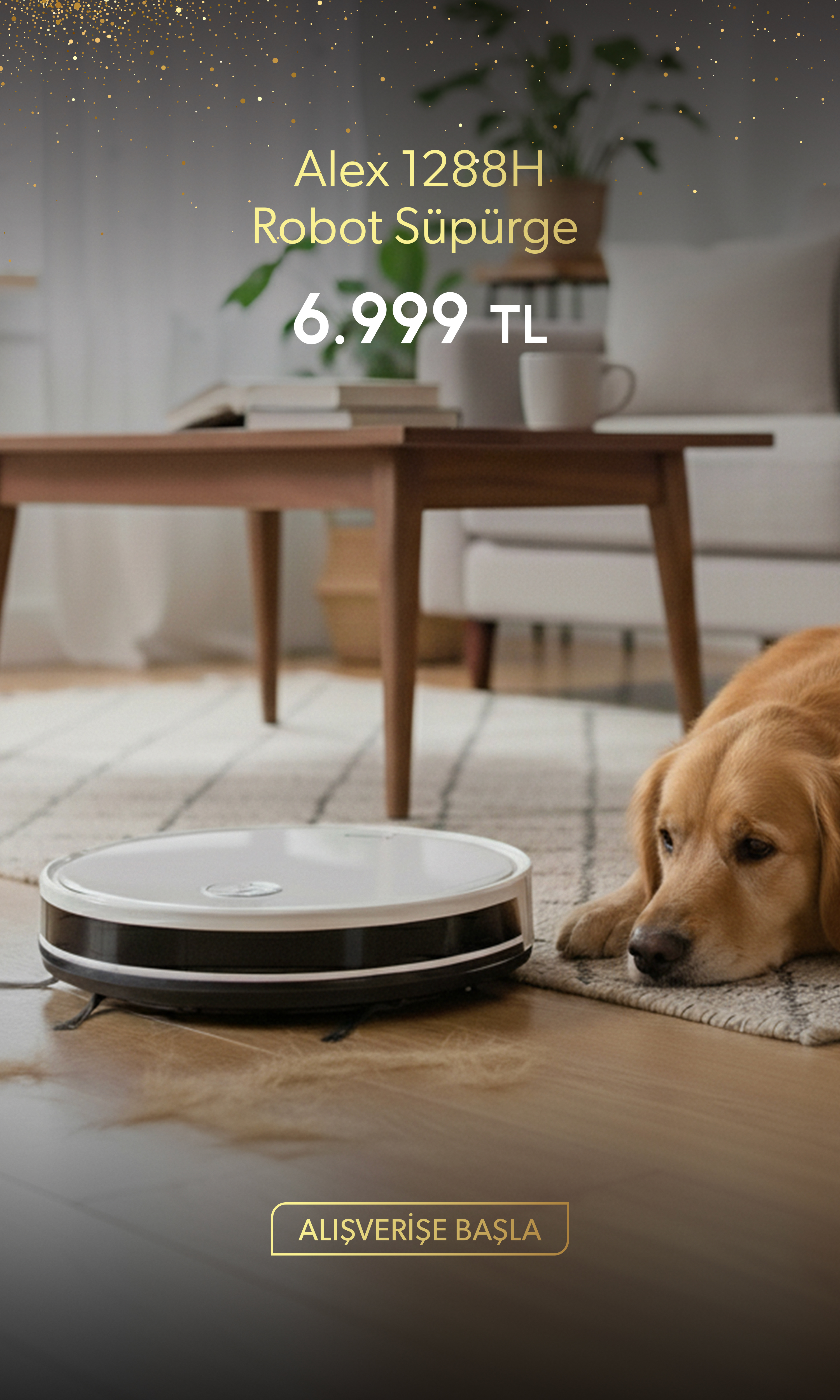 Alışverişe Başla