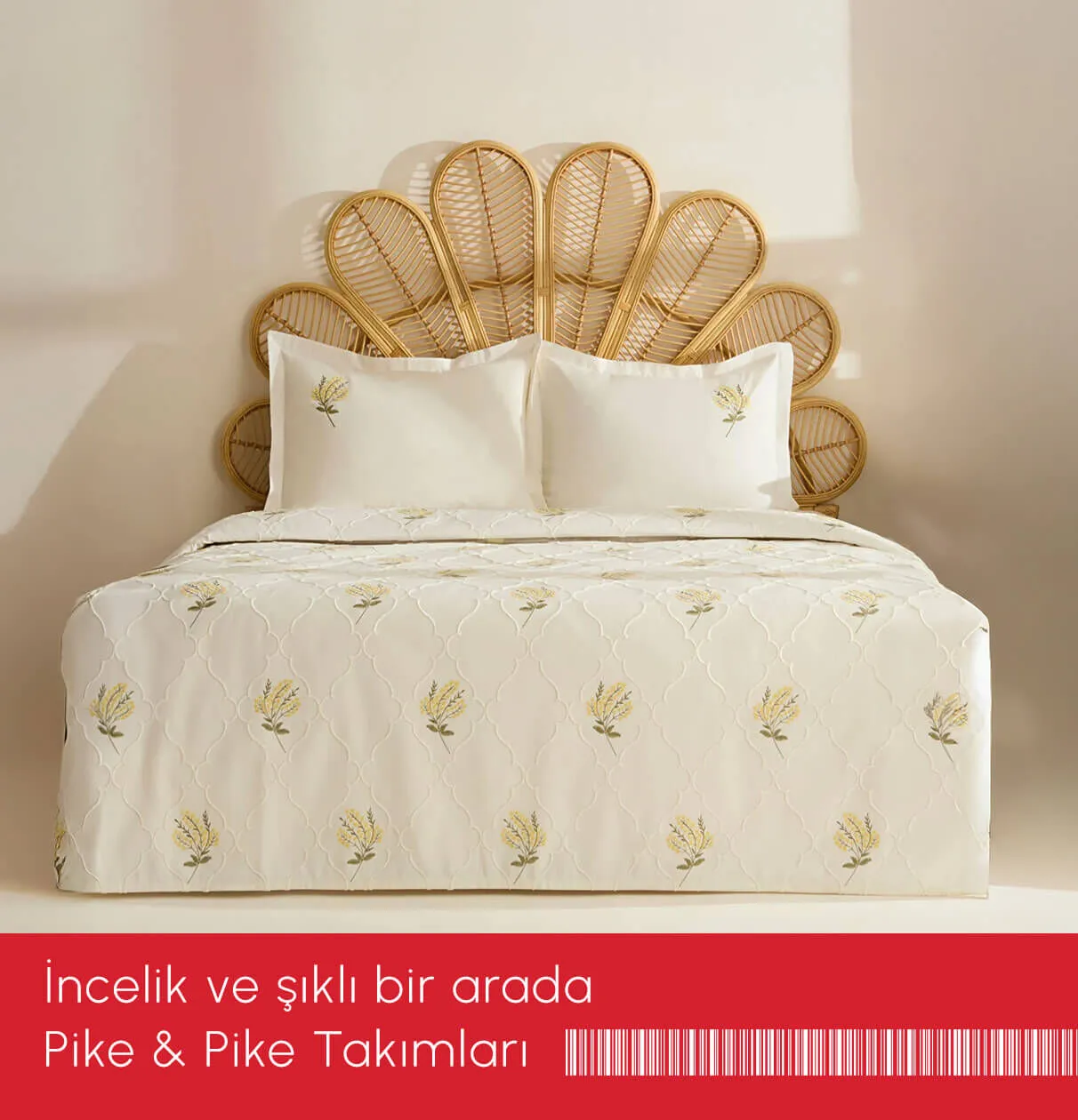 Pike & Pike Takımları