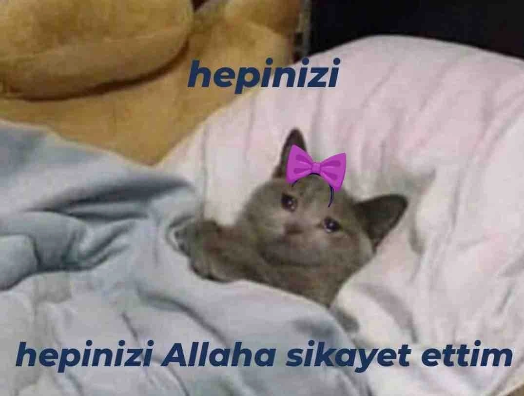 E** K** değerlendirme görseli 1