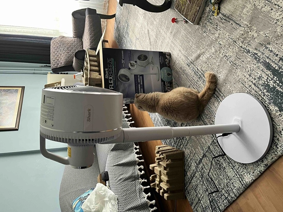 KaracaSever değerlendirme görseli 2