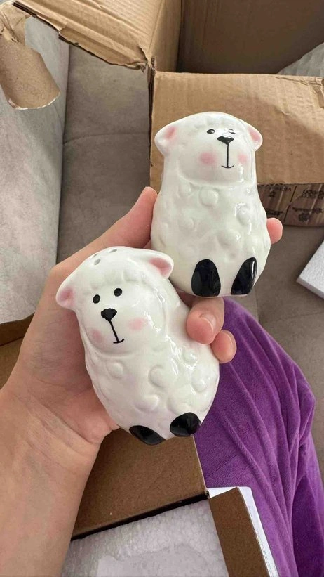Ş** Ö** değerlendirme görseli 1