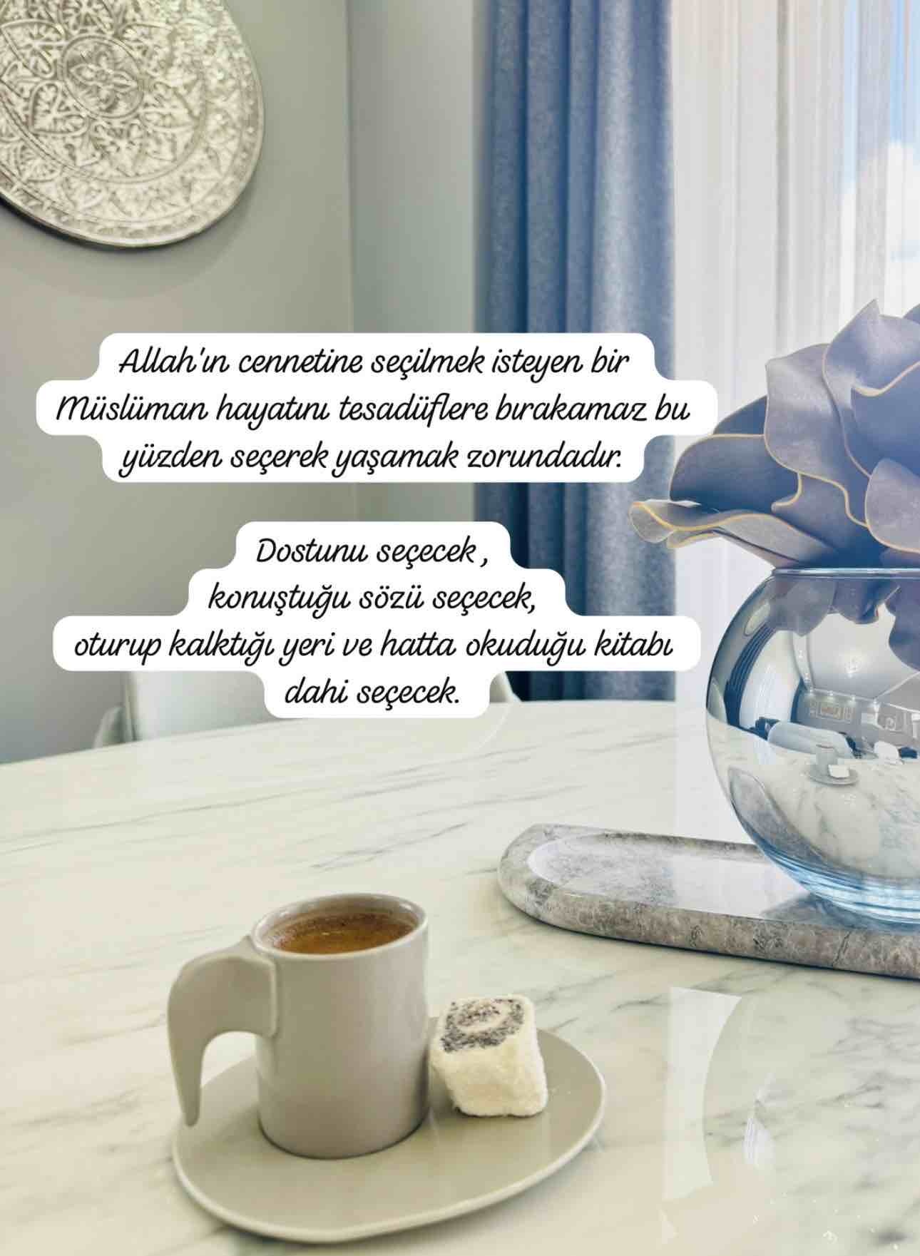 Ş*** * S****** değerlendirme görseli 1