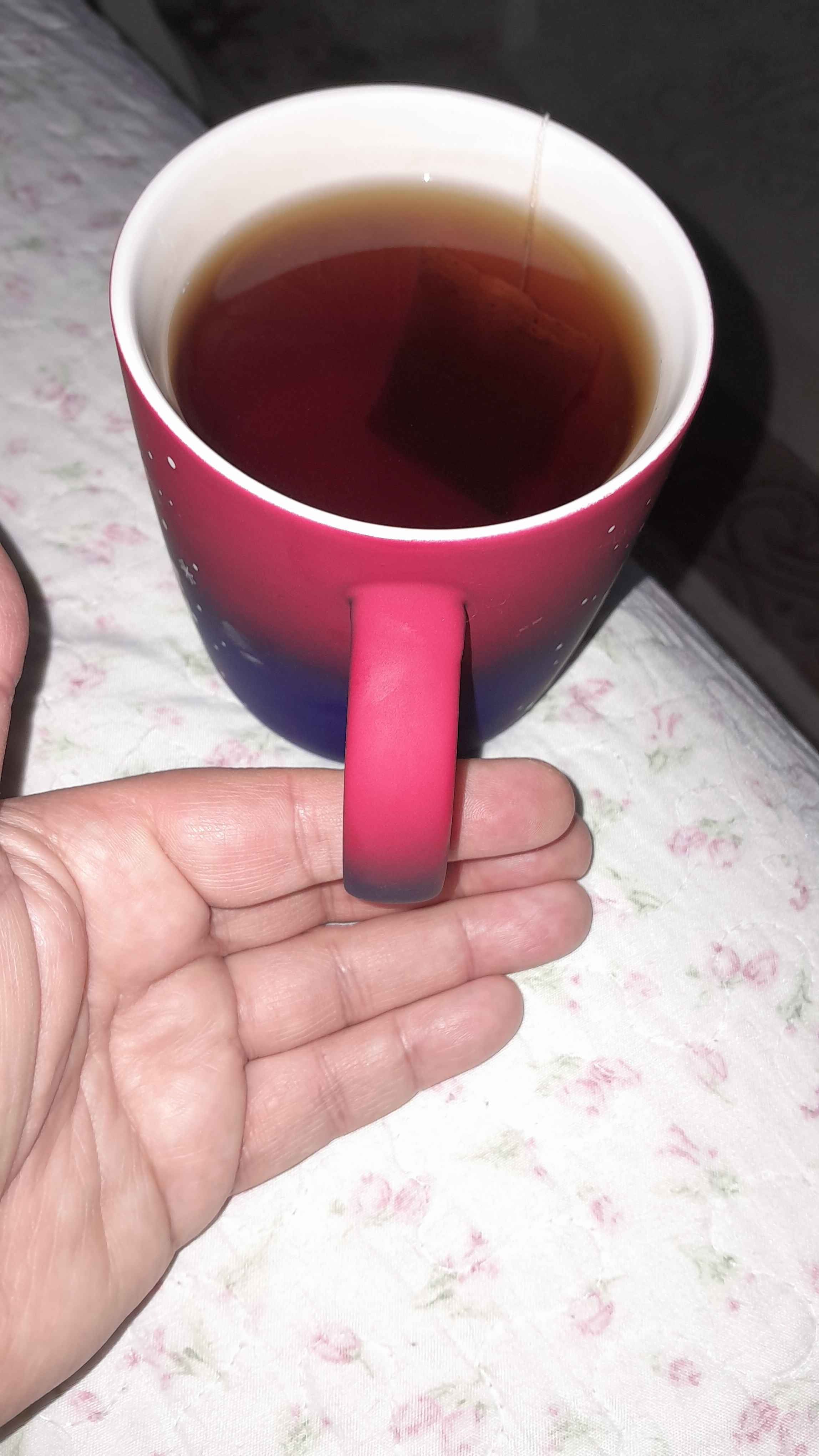 KaracaSever değerlendirme görseli 1