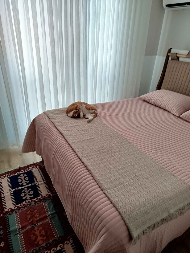 KaracaSever değerlendirme görseli 1